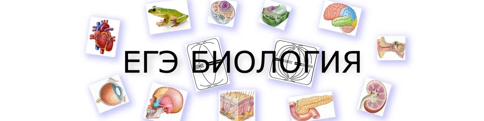 щжшрло.webp